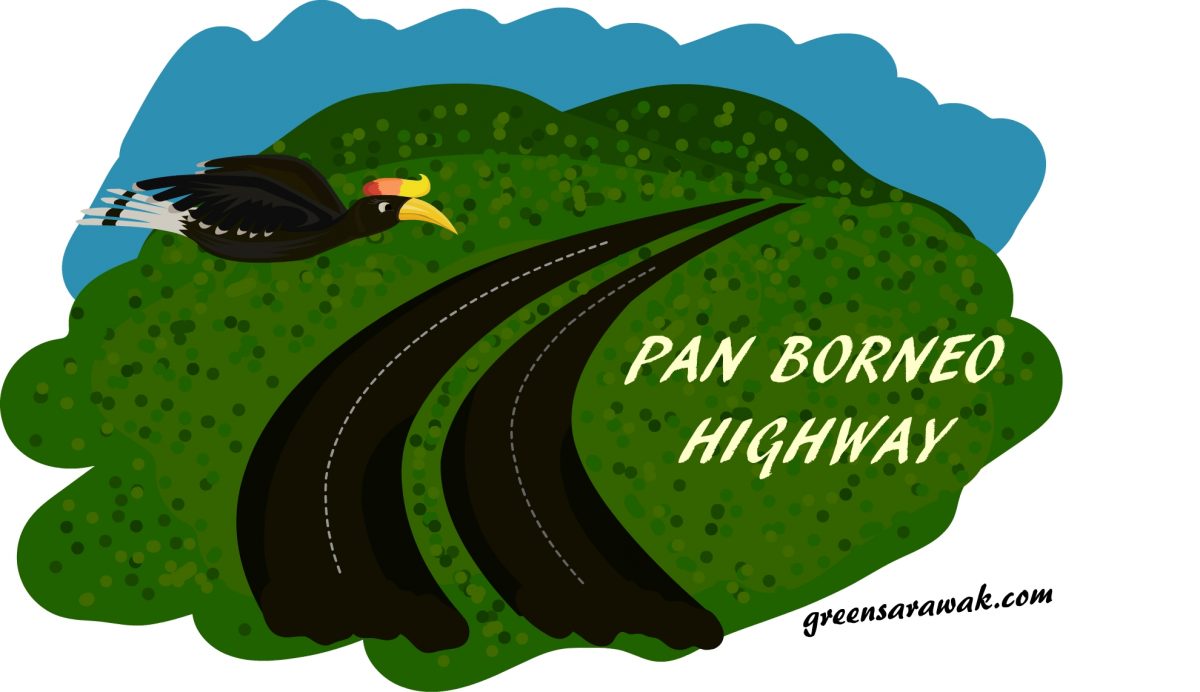 Pan Borneo Highway- The Mega Construction Project in North Borneo