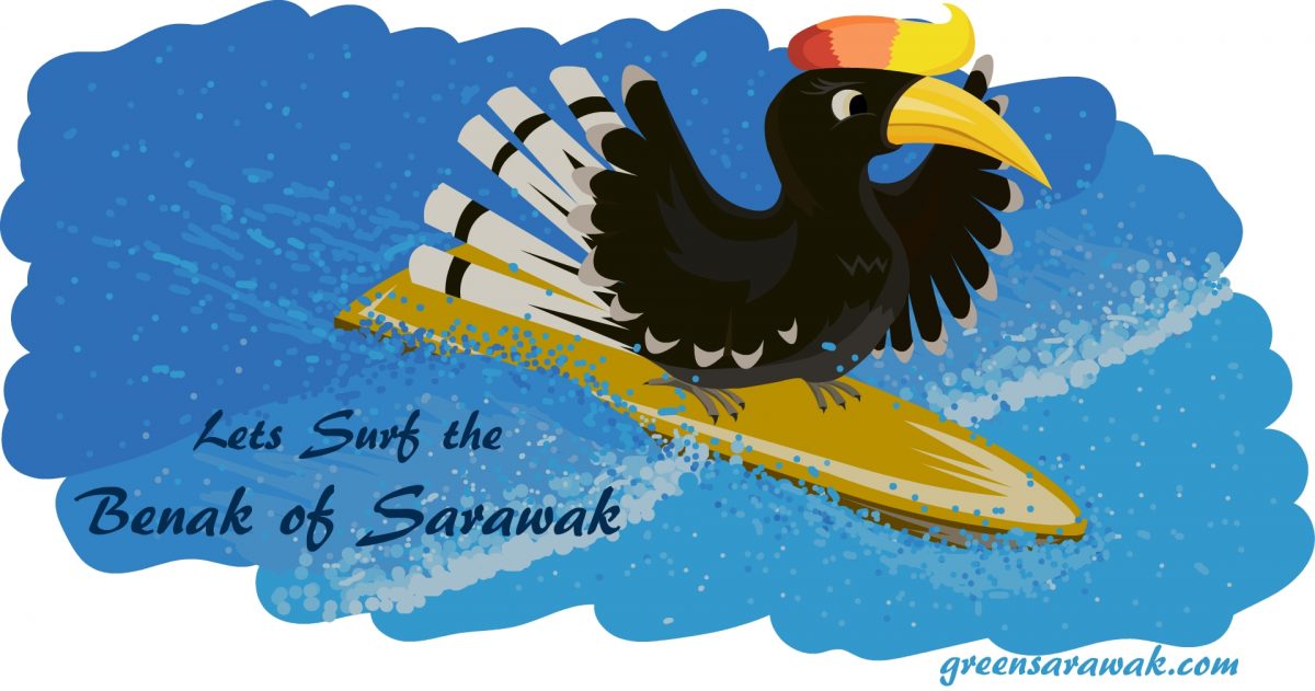 Lets Surf the Benak of Sarawak