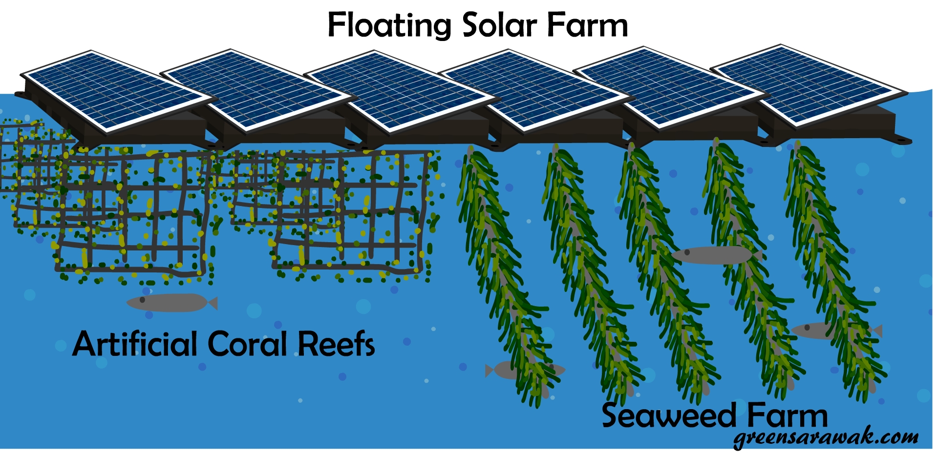 Floating Solar Will It Be The Next Move In Sarawak